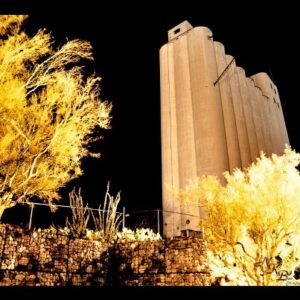 hayden flour mill