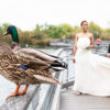 Congratulations Kimberly & Eric Branch! Ducks sitting on the railing overlooking the water with the bride and groom standing in the background